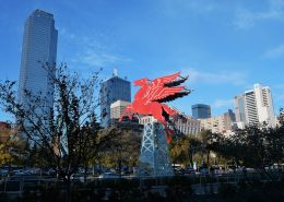 Dallas SC18