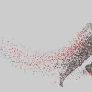 Run